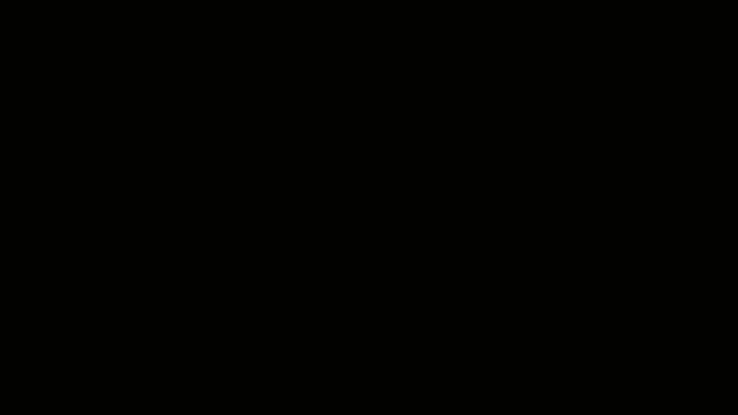 2.present.gif